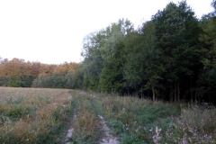 p1100389